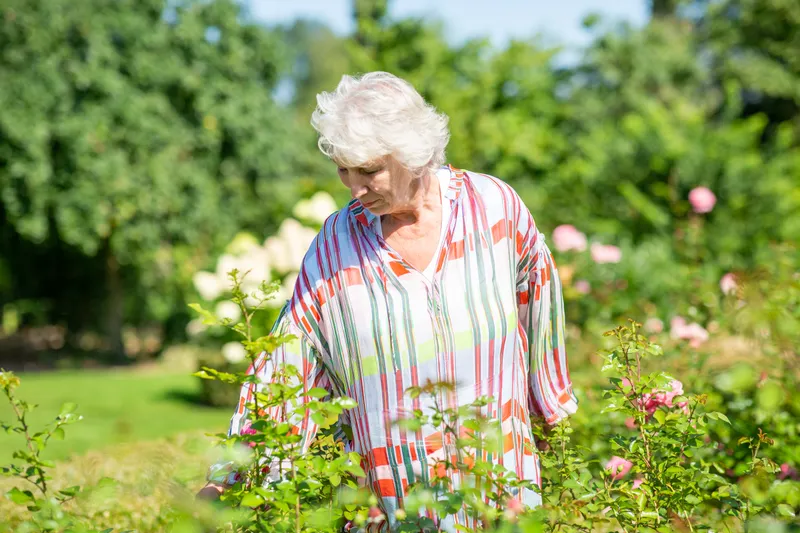 De tuin van de Buwepleats