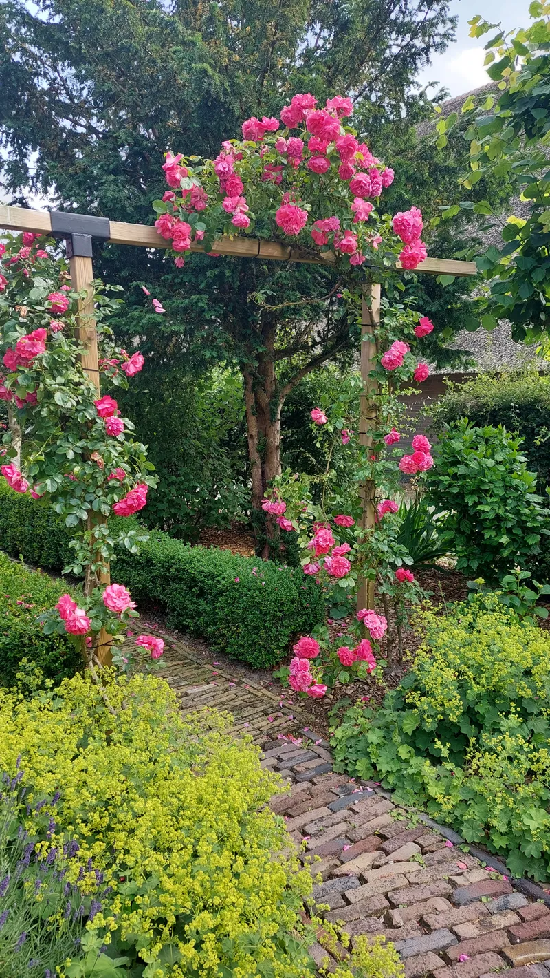 De Buwepleats buiten