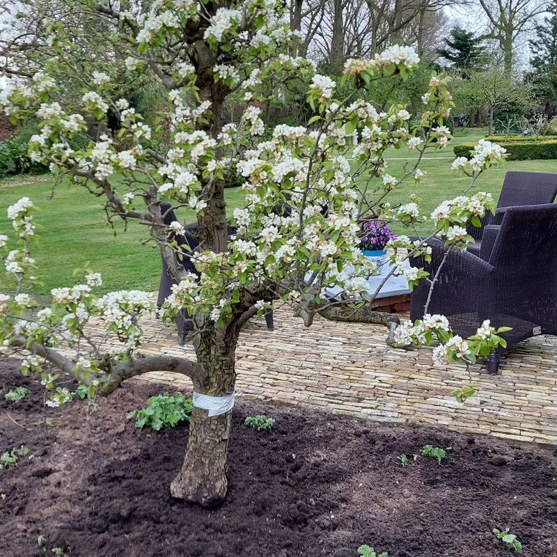 De Buwepleats buiten